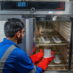 Technician wearing protective gloves placing metal components into an industrial oven for heat treatment or curing process, ensuring precision and quality control